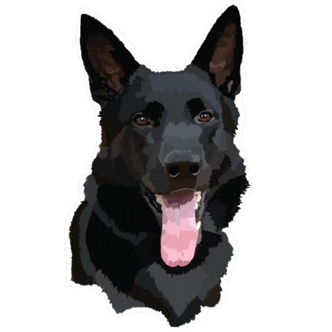 - black German Shepherd [puppy boy]🦴(therian)